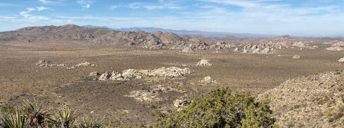 Joshua Tree National Park Trails