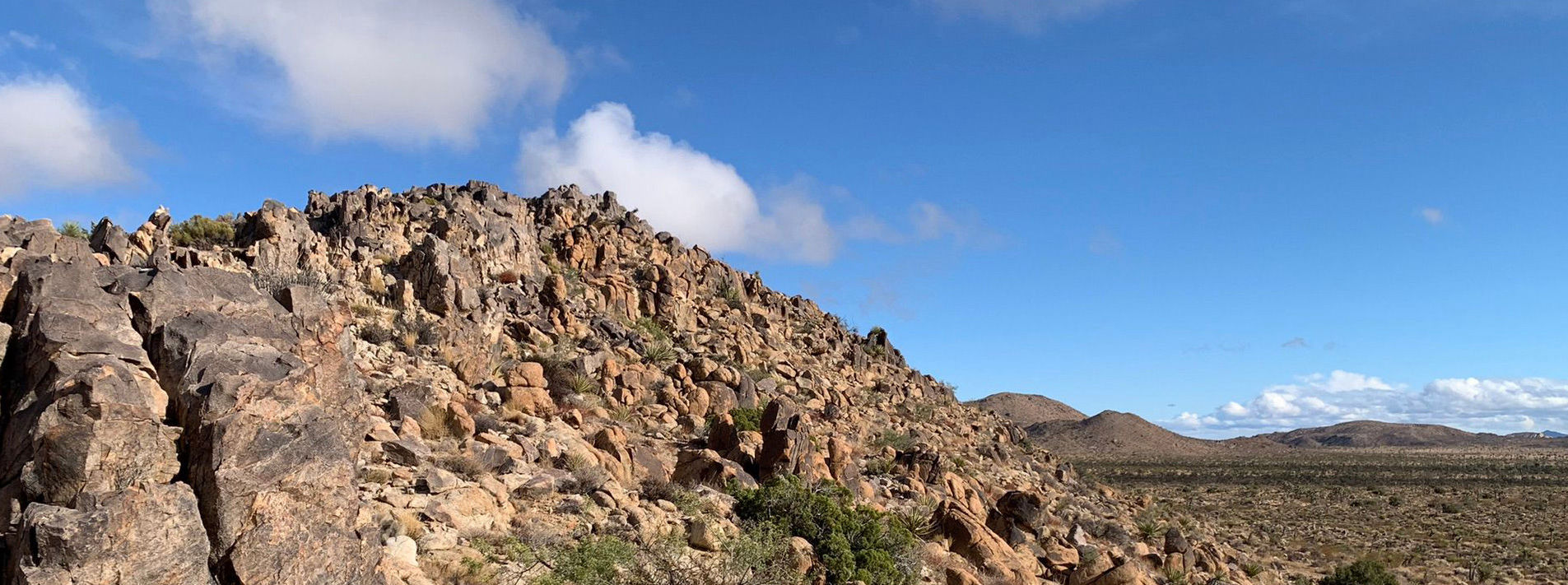 Joshua Tree National Park Trails