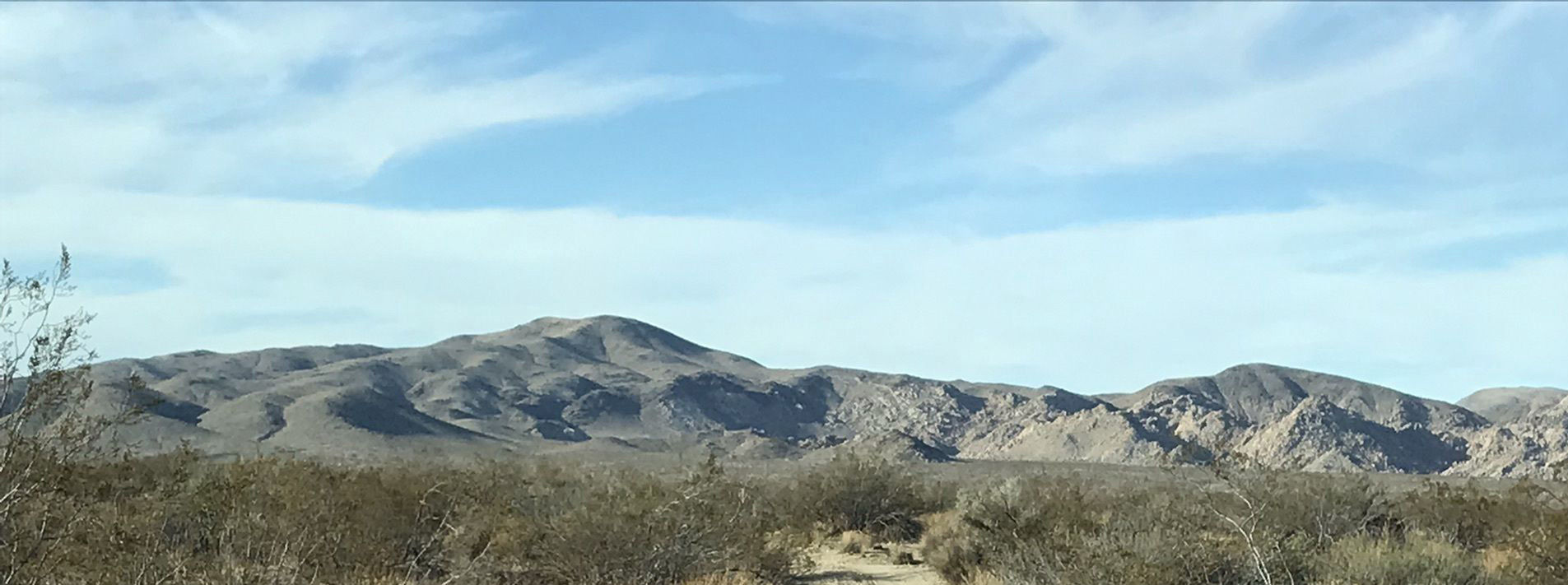 Joshua Tree National Park Trails