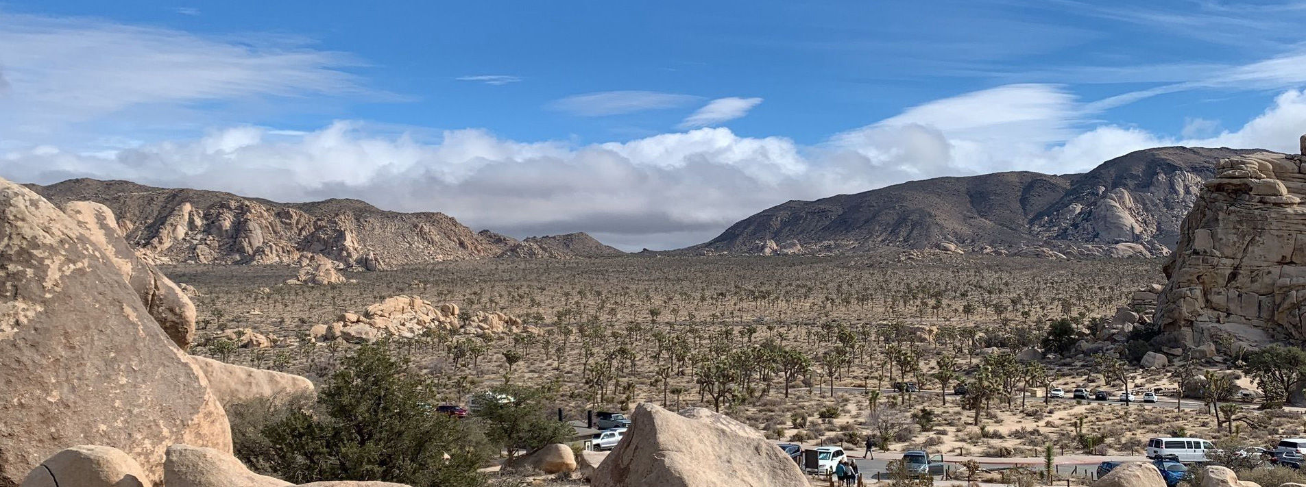 Joshua Tree National Park Trails