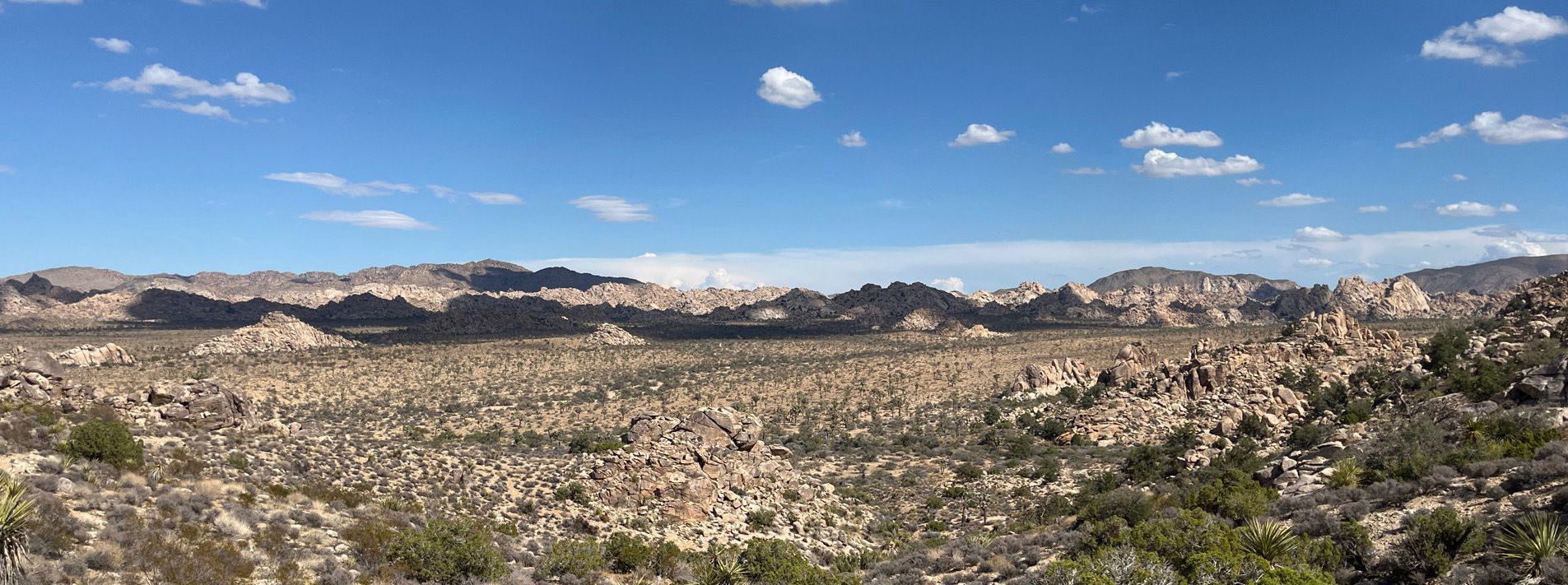 Joshua Tree National Park Trails