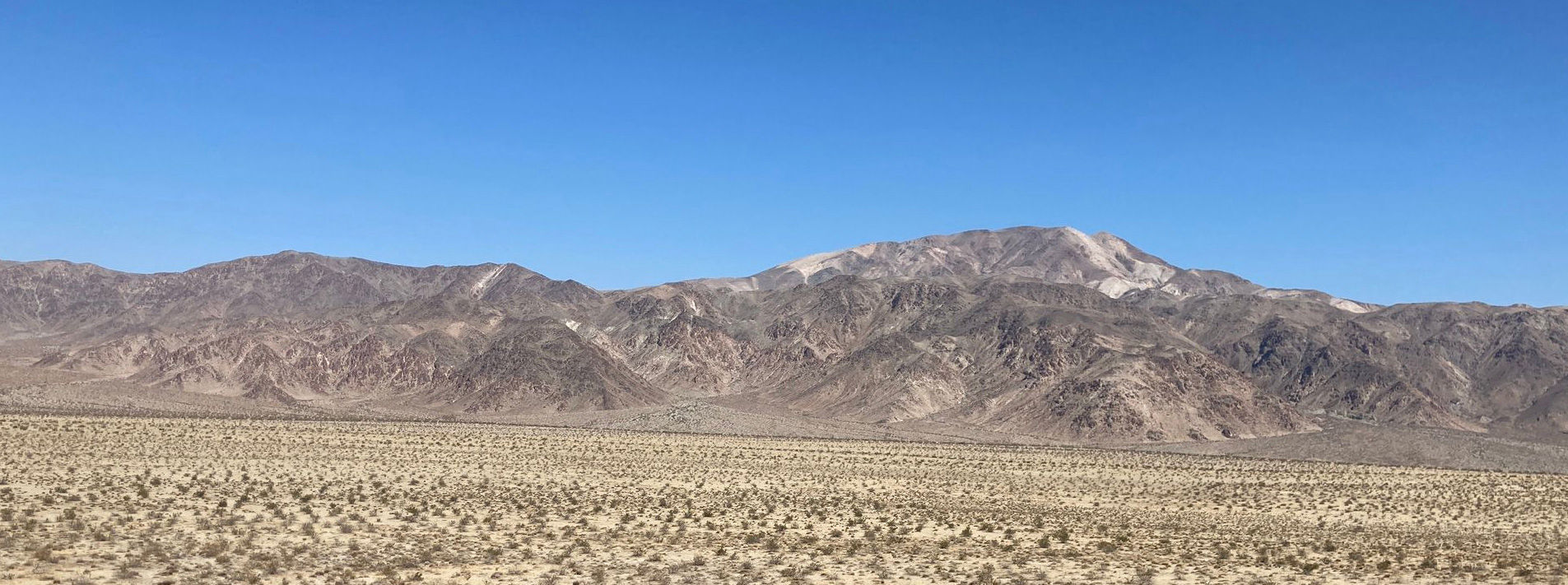 Joshua Tree National Park Trails