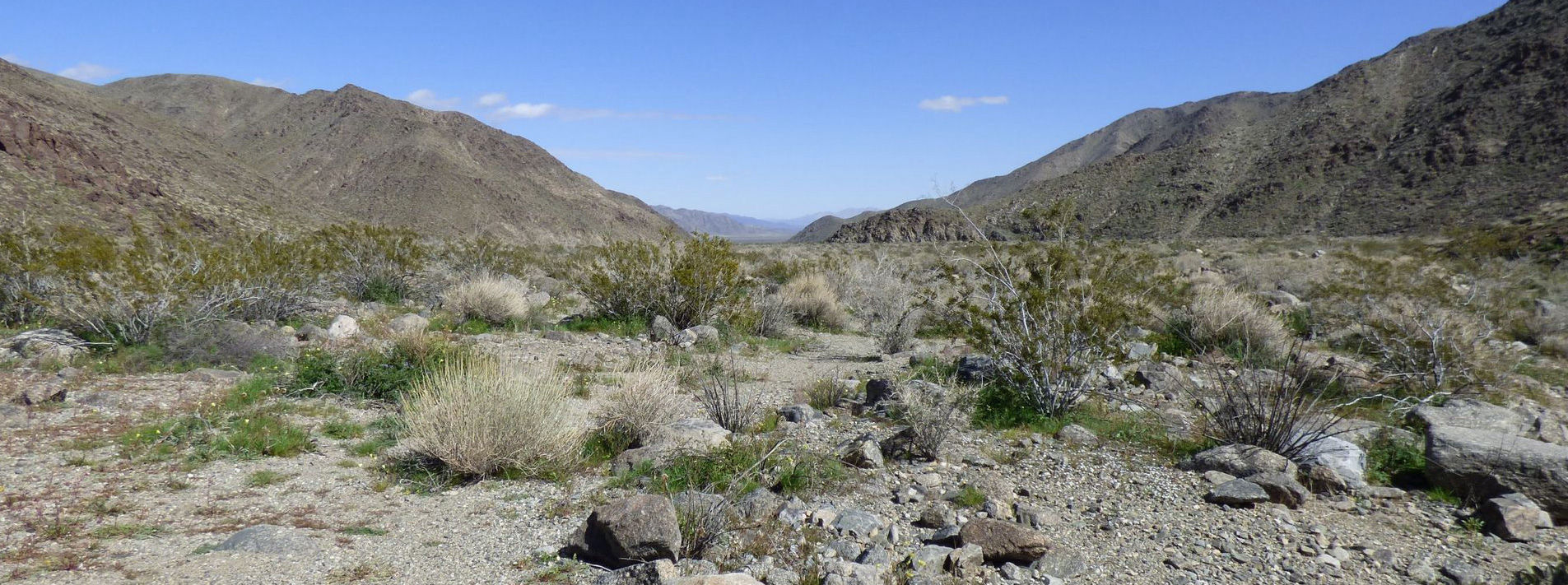 Joshua Tree National Park Trails