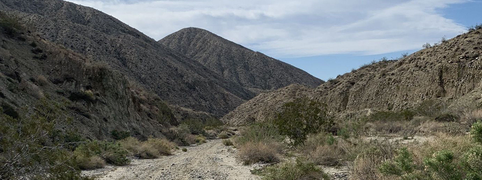 Joshua Tree National Park Trails