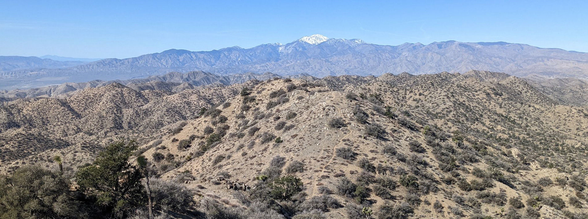 Joshua Tree National Park Trails