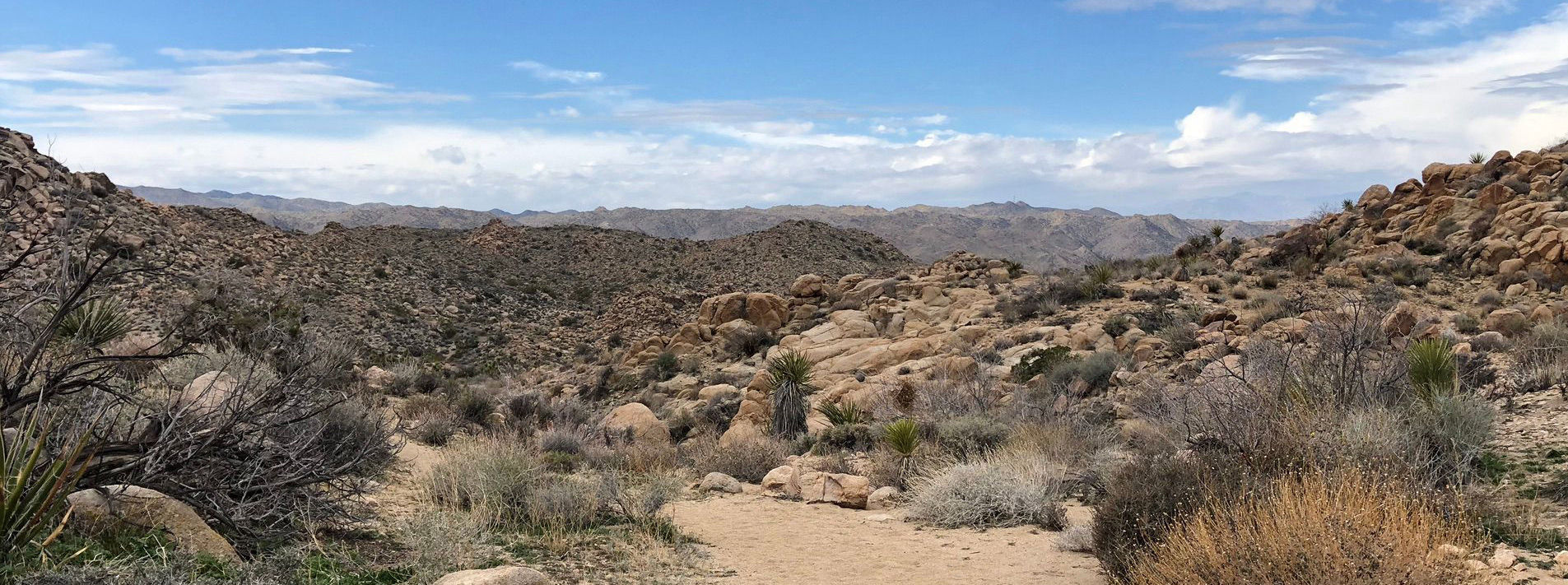 Joshua Tree National Park Trails