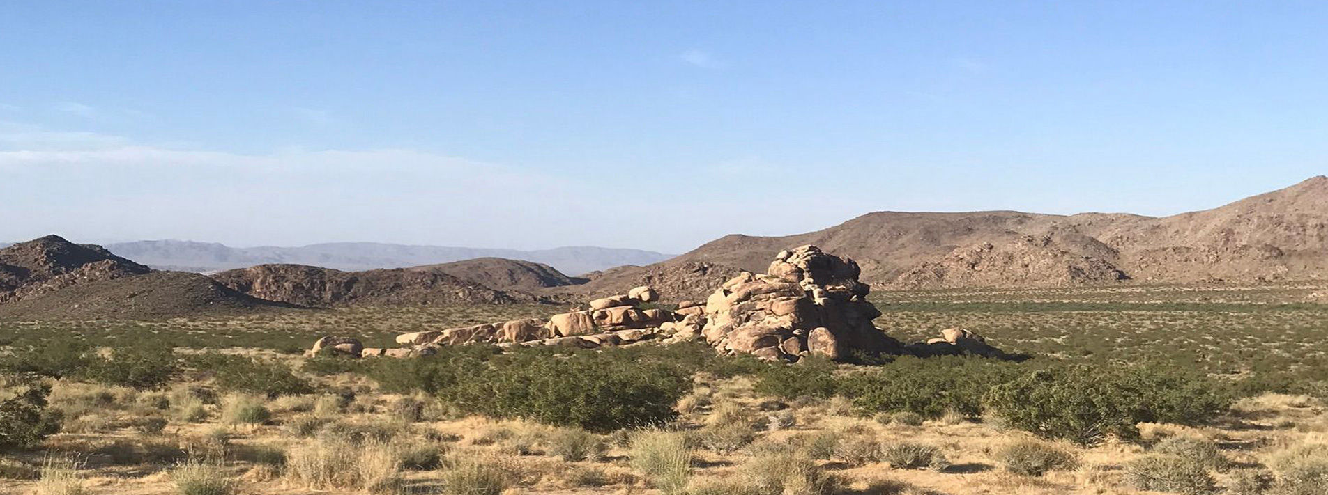 Joshua Tree National Park Trails