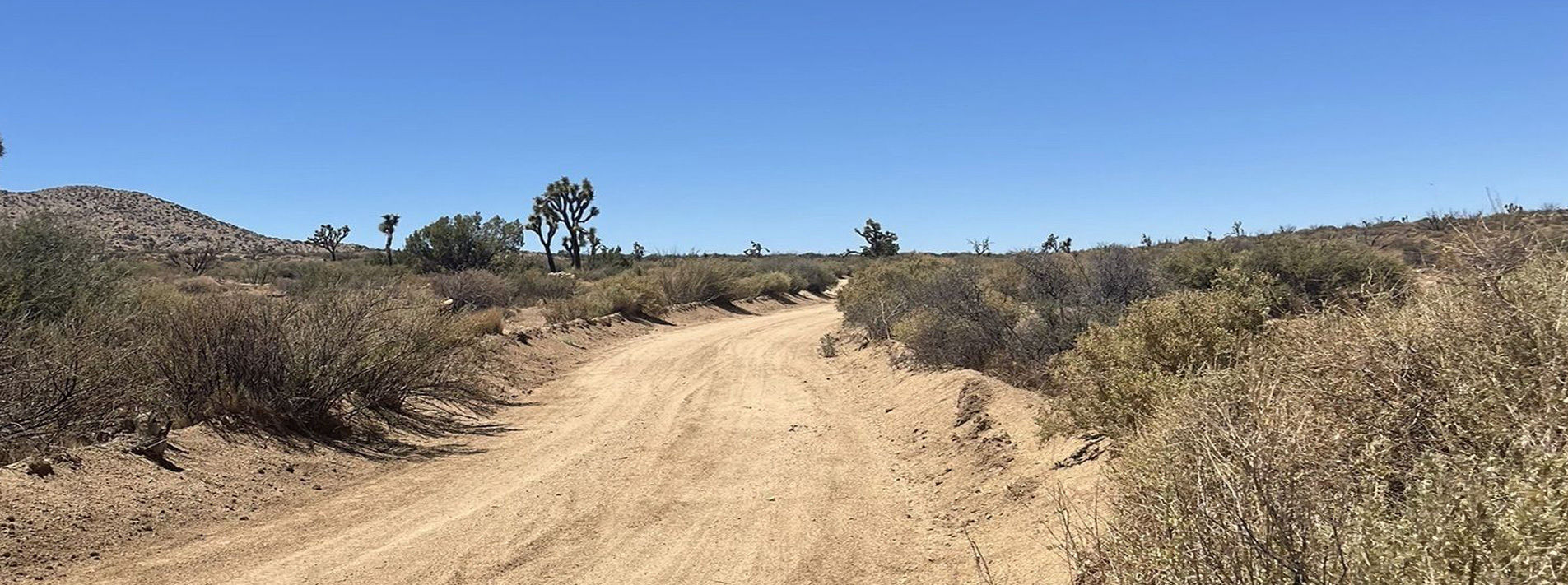 Joshua Tree National Park Trails