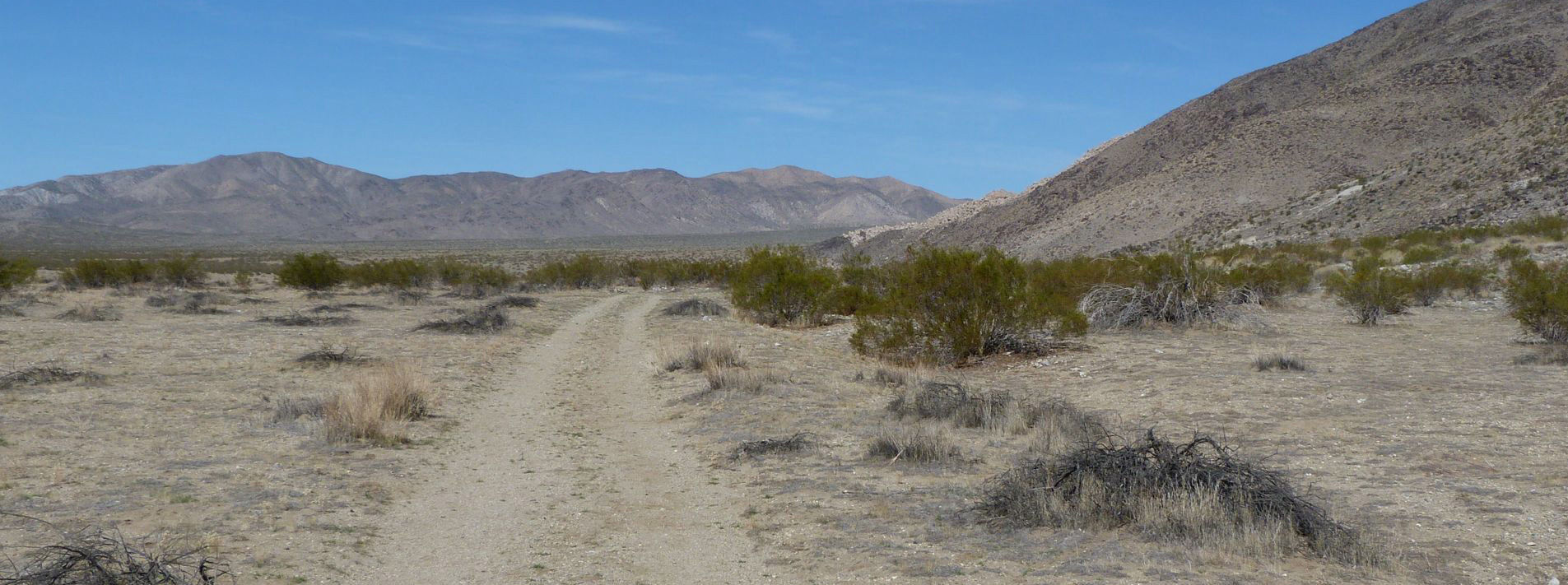 Joshua Tree National Park Trails