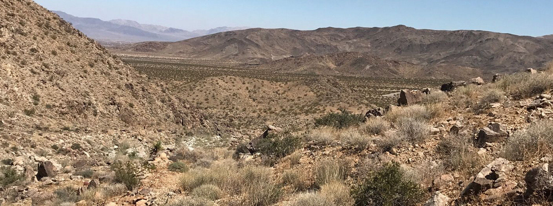 Joshua Tree National Park Trails