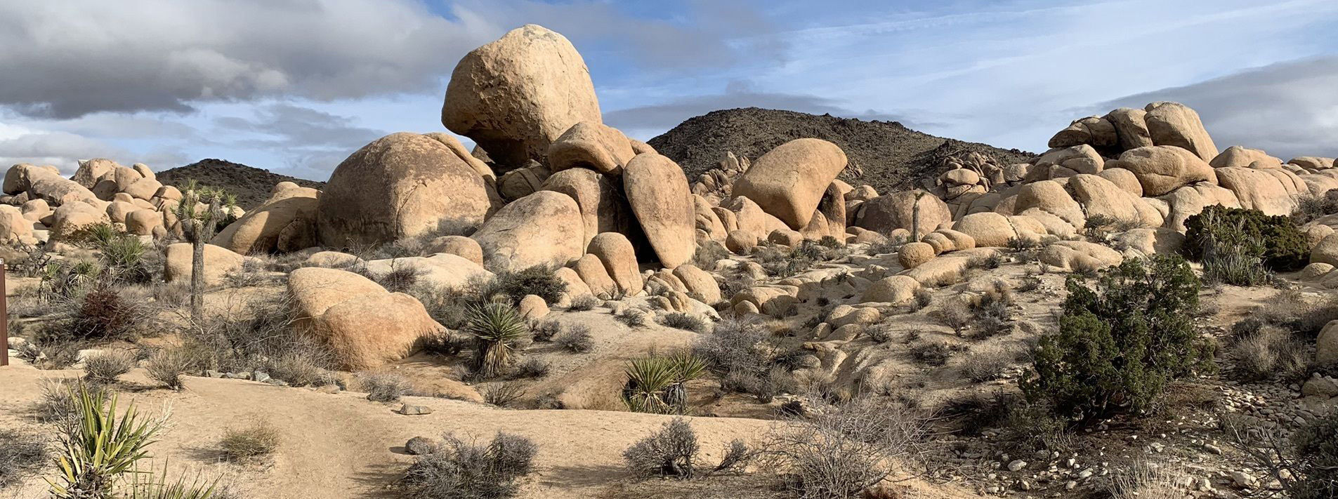 Joshua Tree National Park Trails