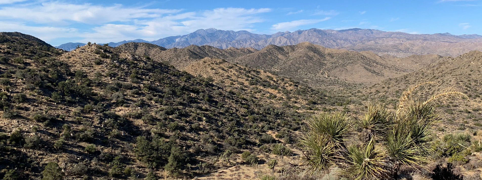 Joshua Tree National Park Trails