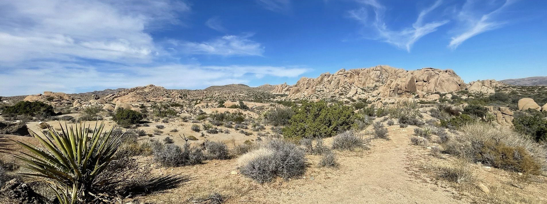 Joshua Tree National Park Trails