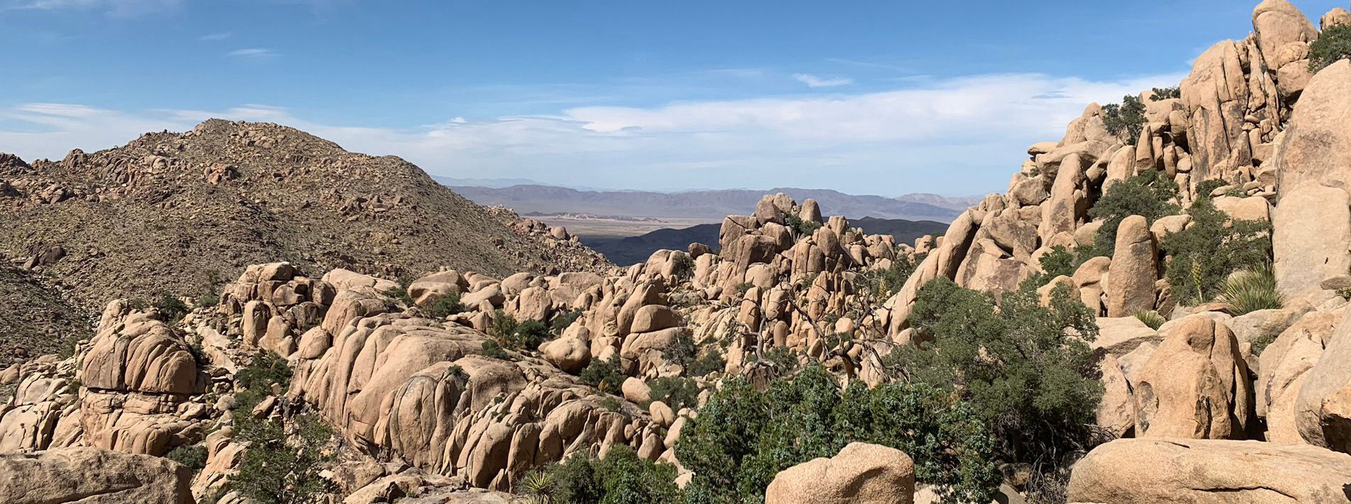 Joshua Tree National Park Trails
