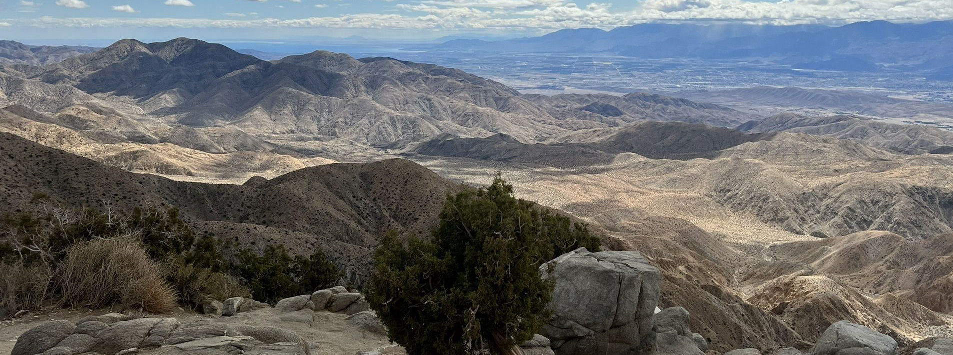 Joshua Tree National Park Trails