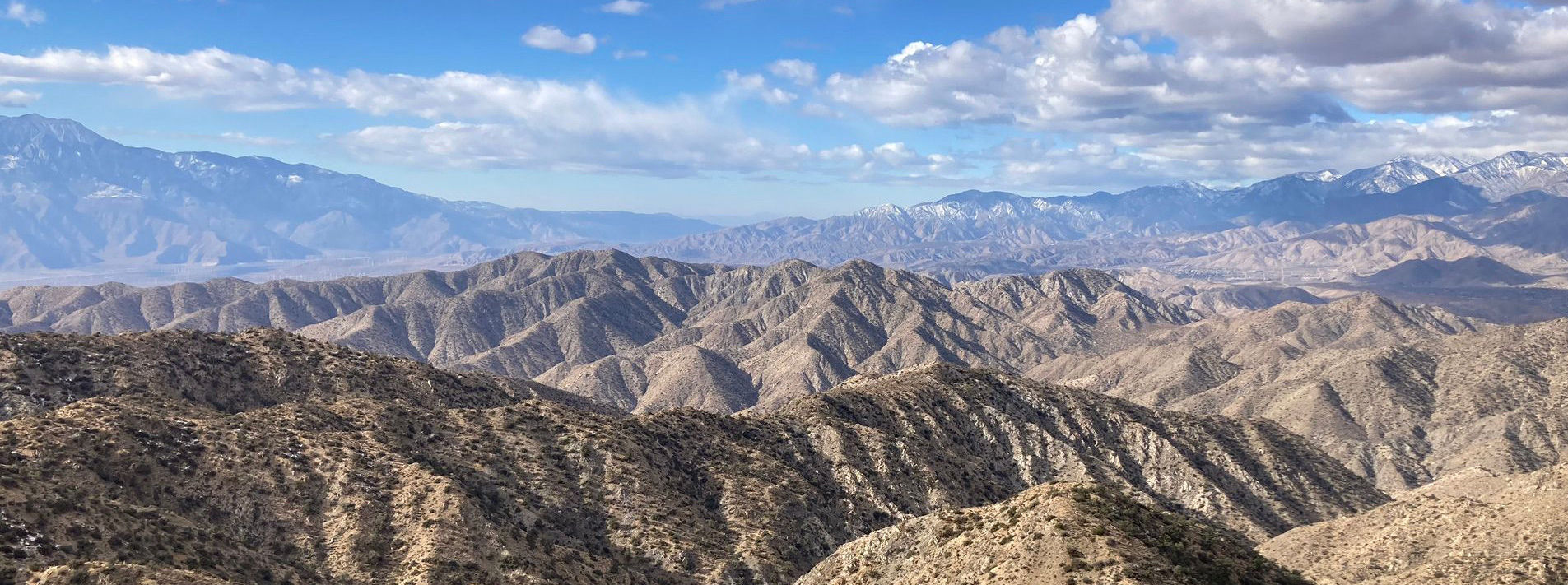 Joshua Tree National Park Trails