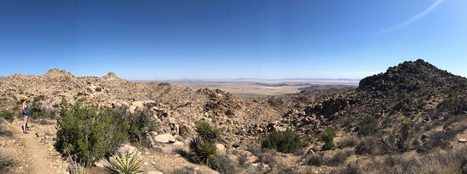 Joshua Tree National Park Trails