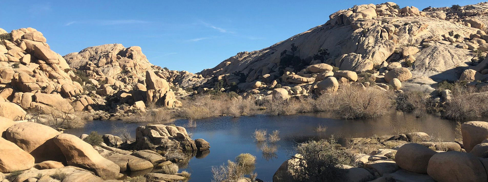 Joshua Tree National Park Trails
