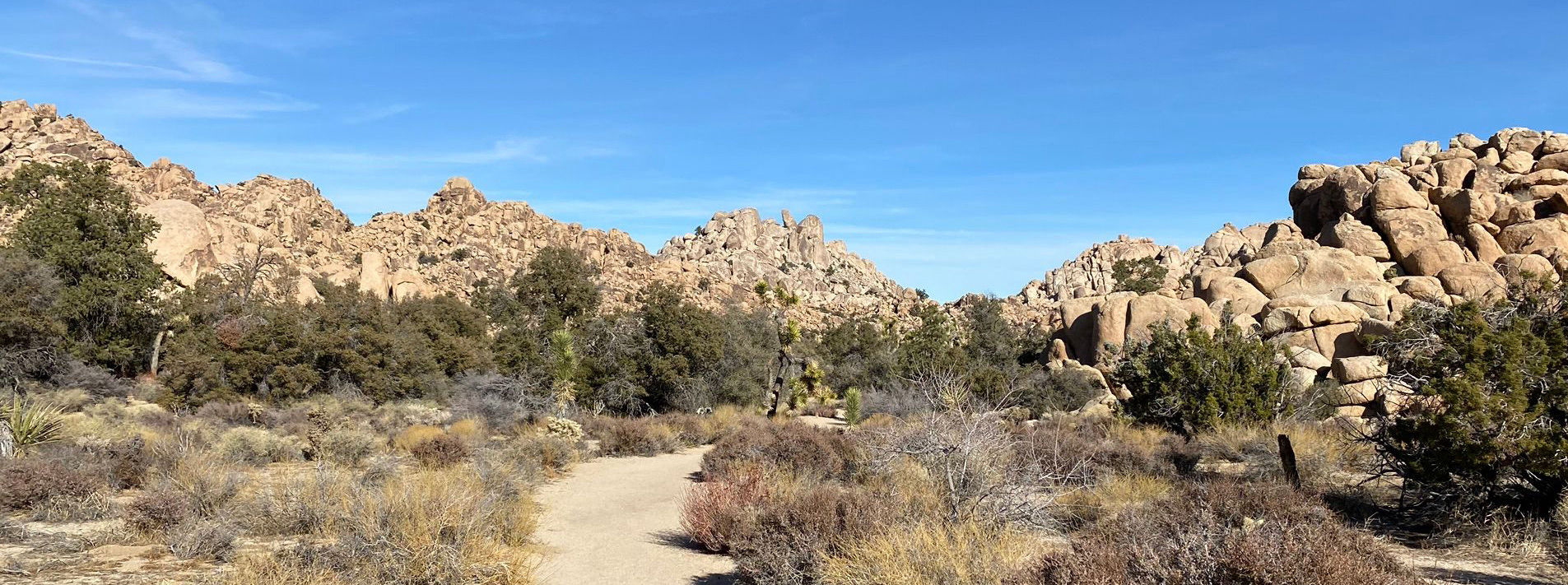 Joshua Tree National Park Trails