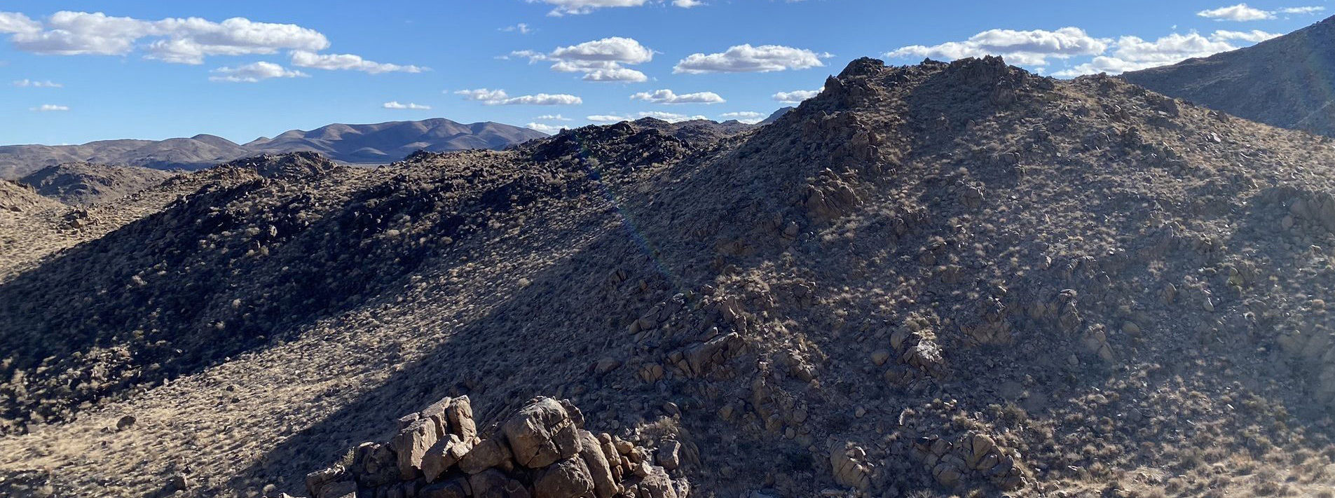 Joshua Tree National Park Trails
