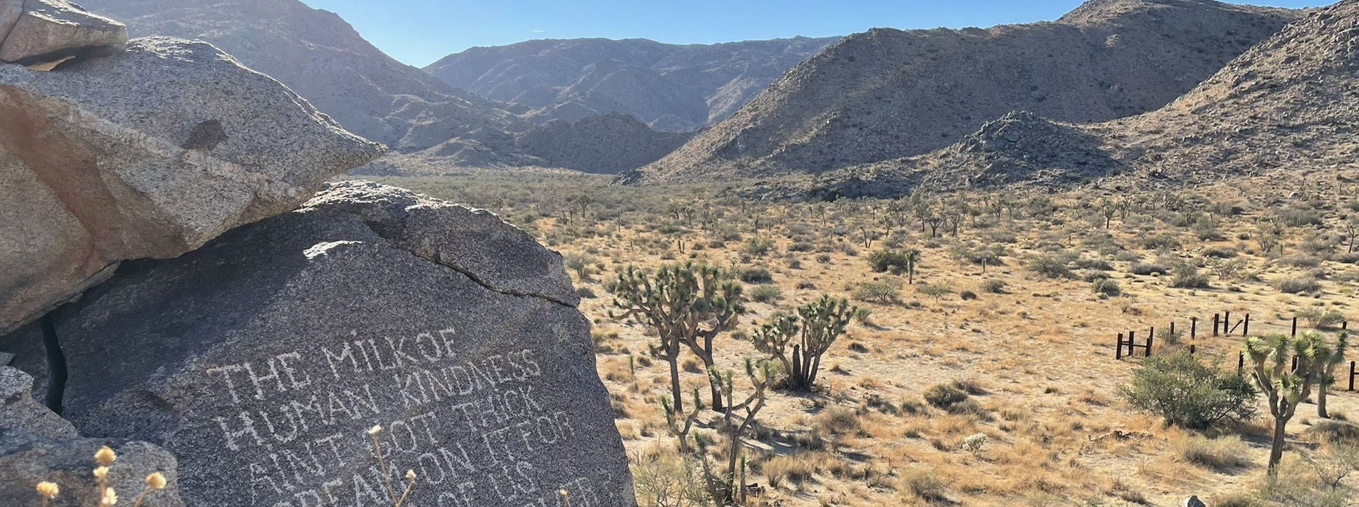 Joshua Tree National Park Trails