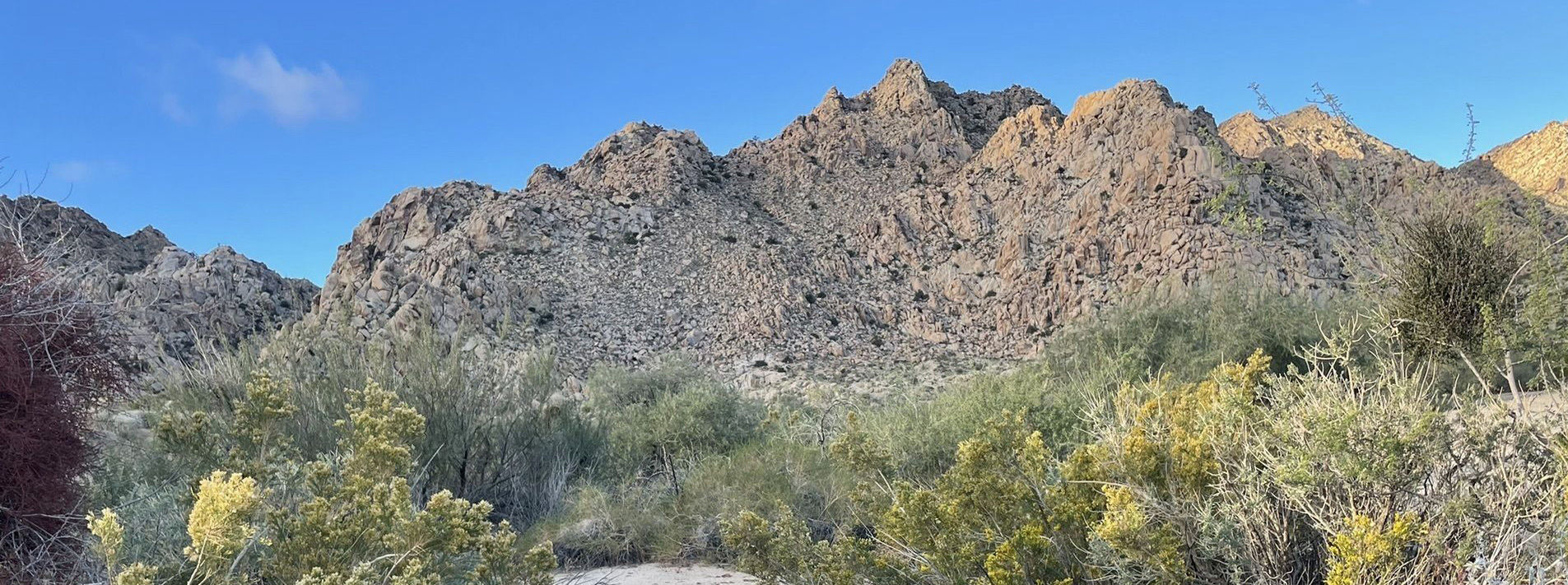 Joshua Tree National Park Trails