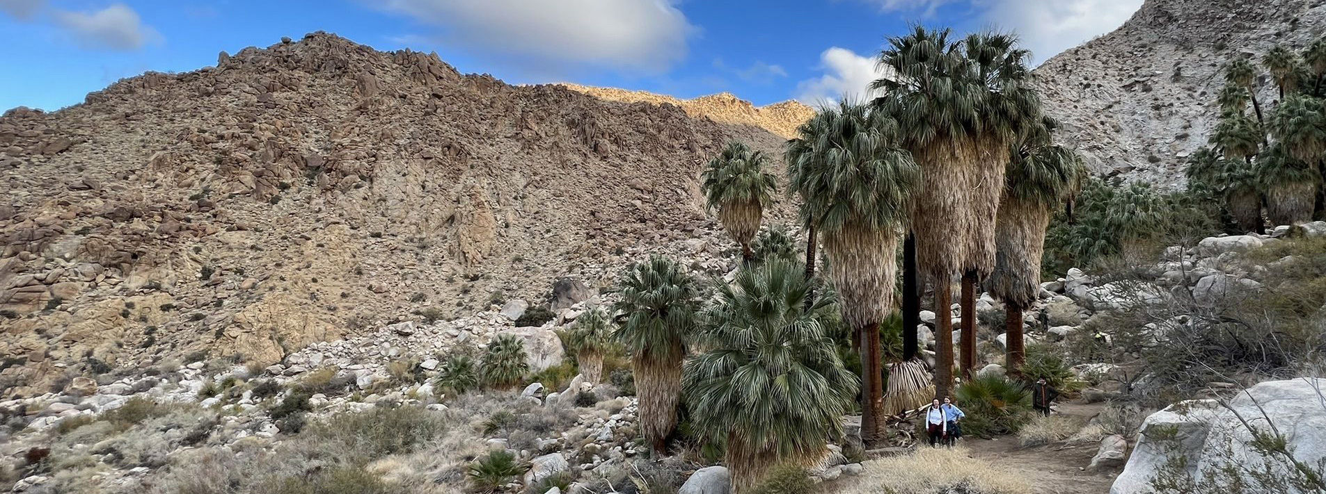 Joshua Tree National Park Trails