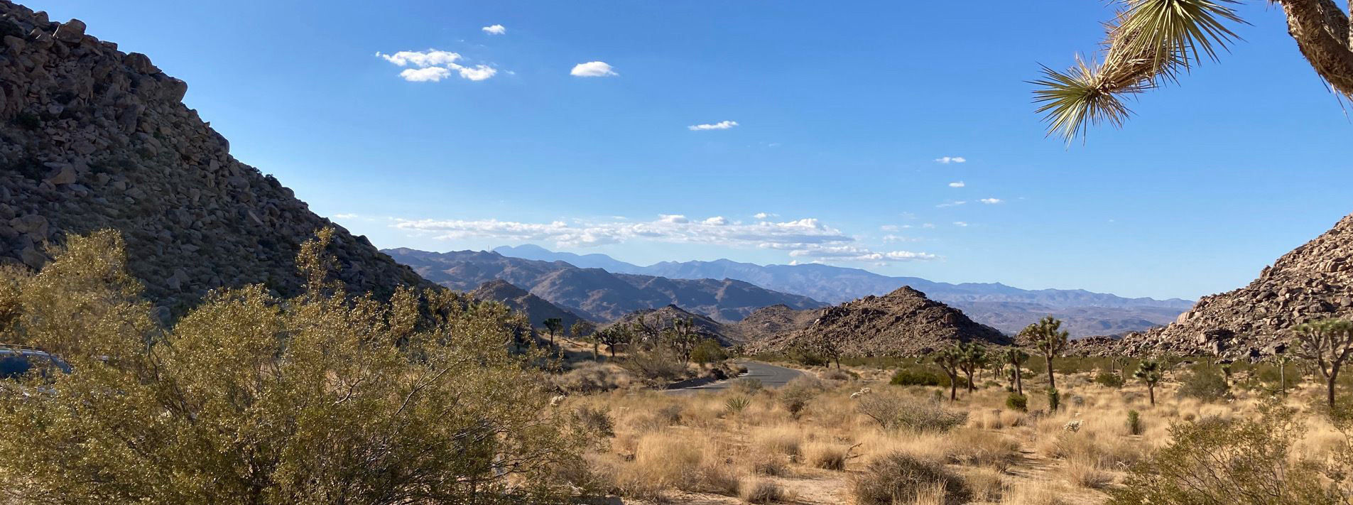 Joshua Tree National Park Trails