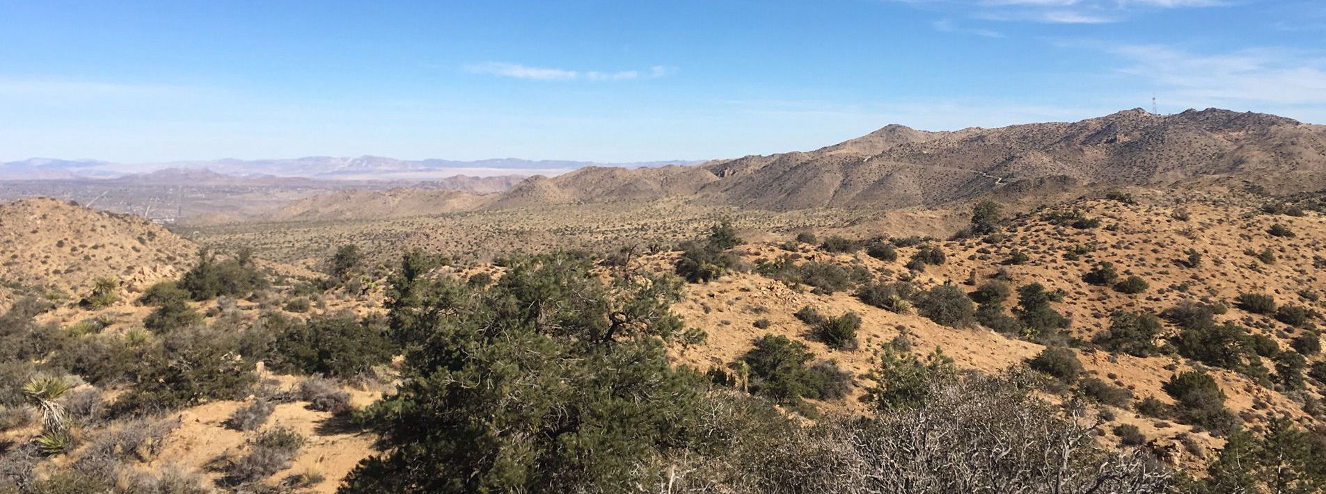 Joshua Tree National Park Trails