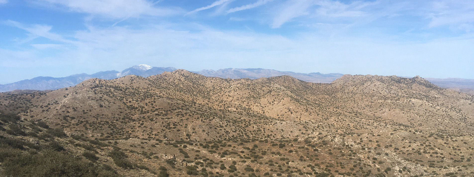 Joshua Tree National Park Trails