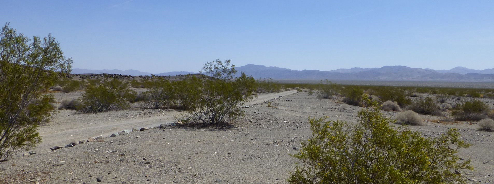 Joshua Tree National Park Trails