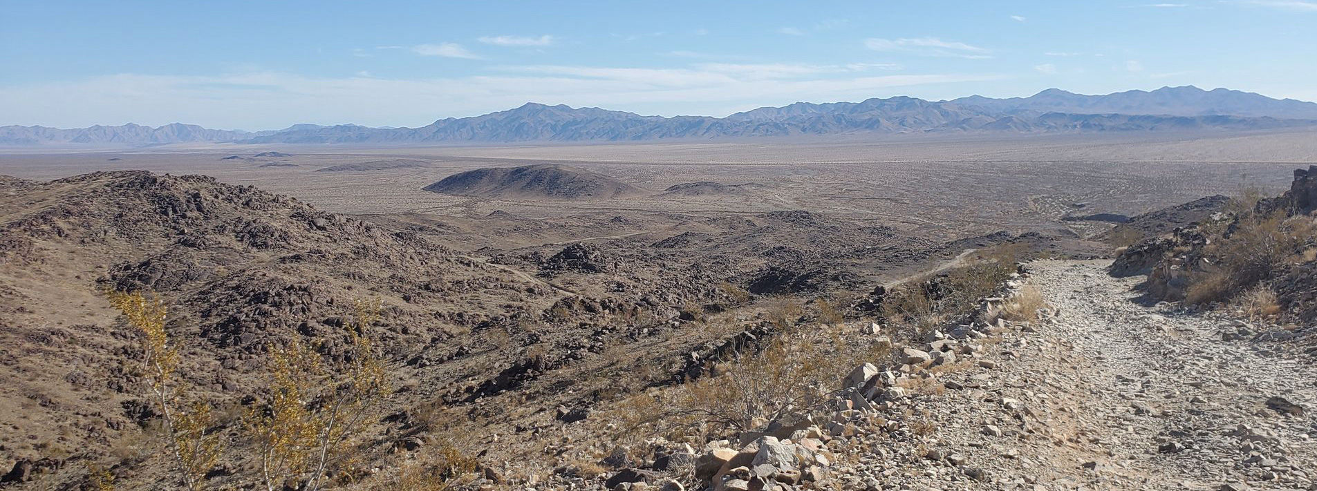 Joshua Tree National Park Trails