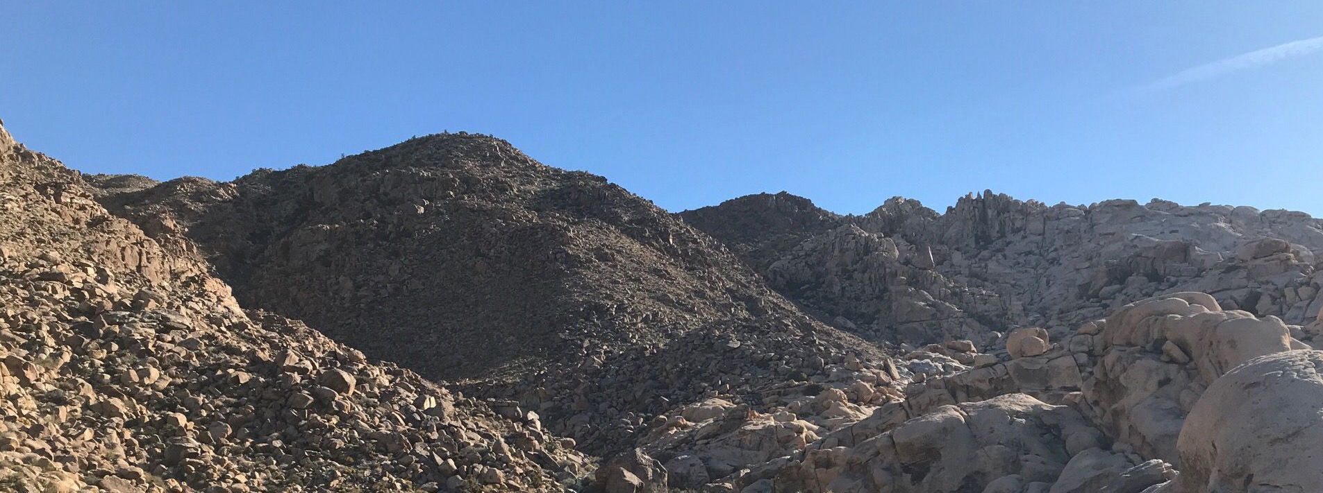 Joshua Tree National Park Trails
