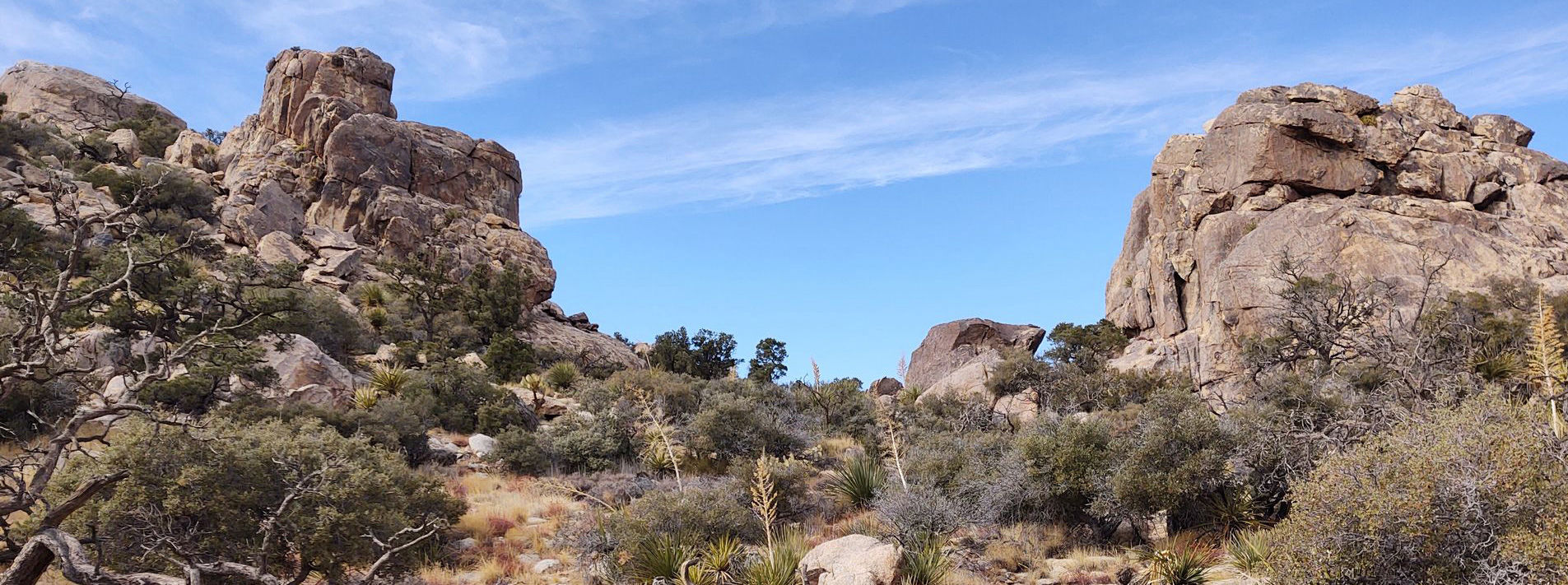Joshua Tree National Park Trails