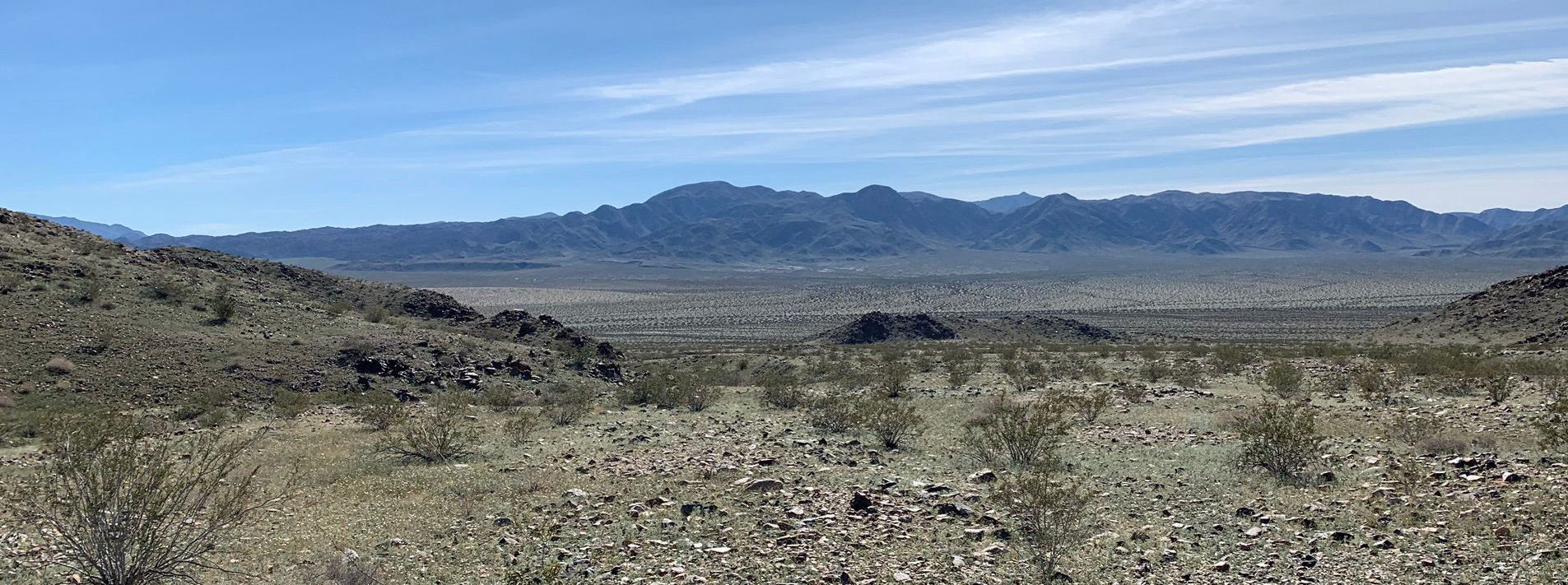 Joshua Tree National Park Trails