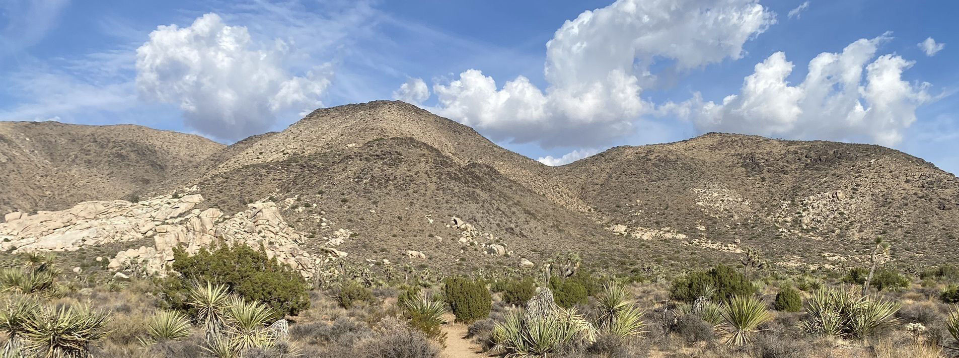 Joshua Tree National Park Trails